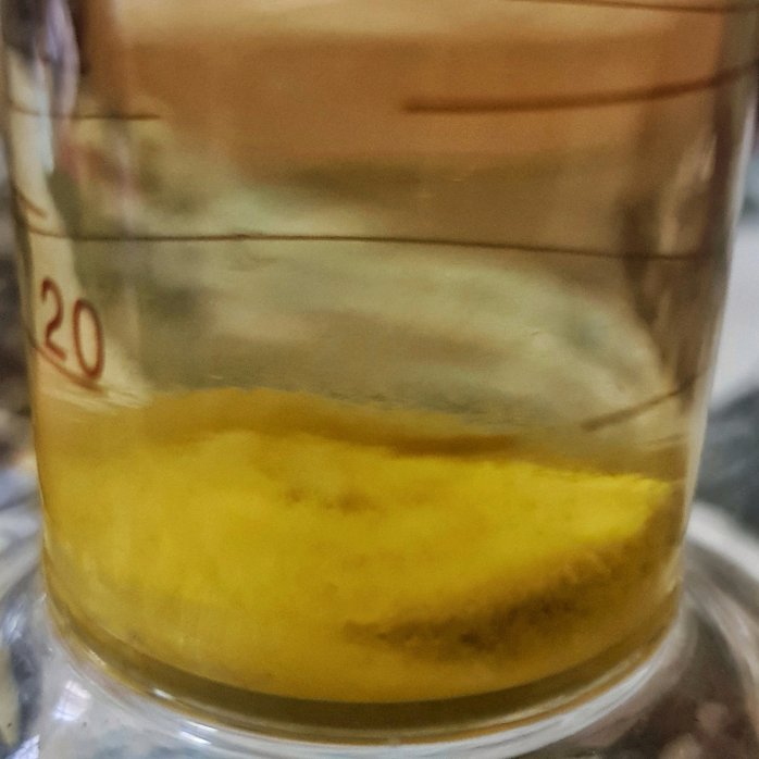 The precipitate after adding water to 100 ml of tincture and letting it settle.