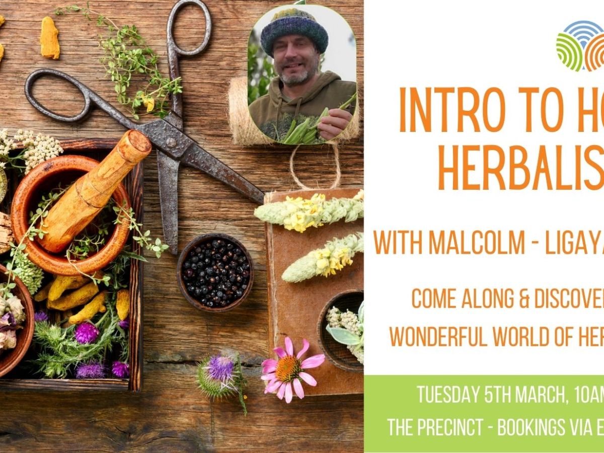 Upcoming “Intro to Herbalism” workshop